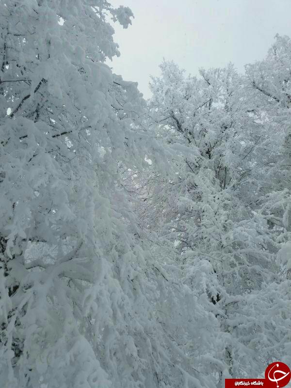 طبیعت زمستانی  روستای کرنگ کالپوش + تصاویر
