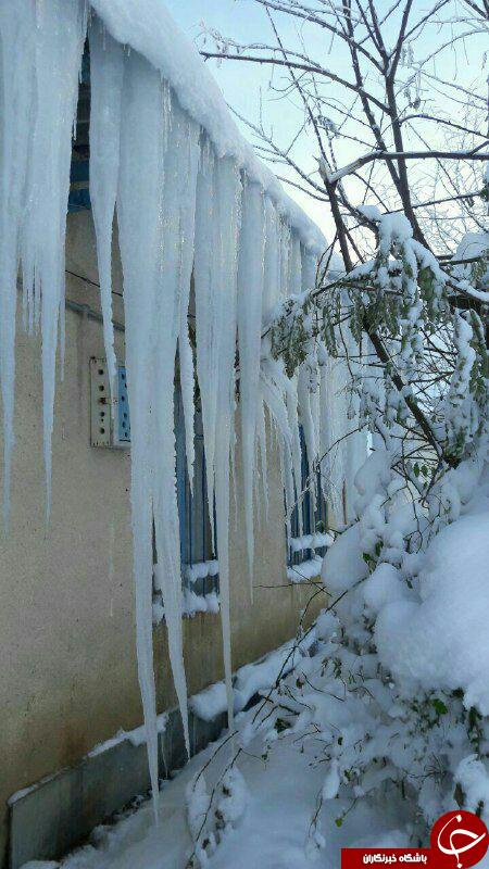 طبیعت زمستانی  روستای کرنگ کالپوش + تصاویر