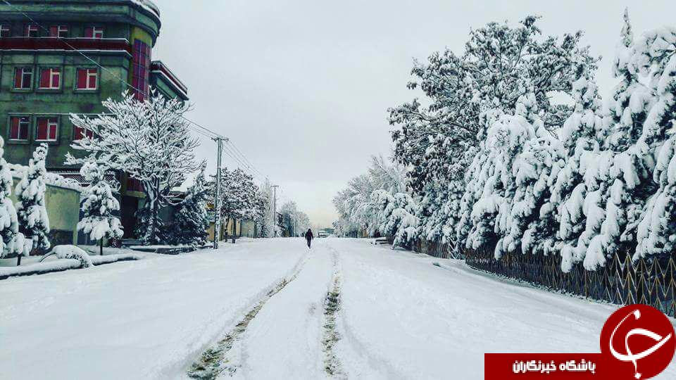 تصاویری زیبا از برف در افغانستان