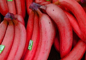 بهترین میوه برای ترک سیگار