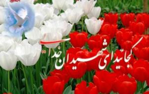 تجلیل از خانواده ی شهدا در زنجان
