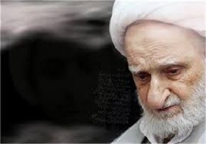 آیت الله العظمی بهجت(ره) درباره غذا خوردن چه سفارشاتی داشته‌اند؟