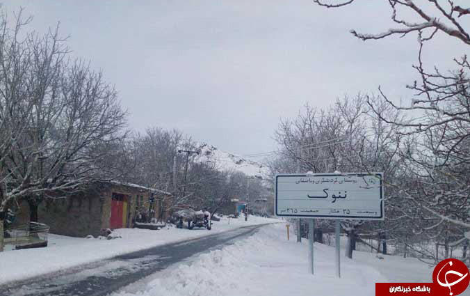 طبیعت زیبای برفی رابر + تصاویر