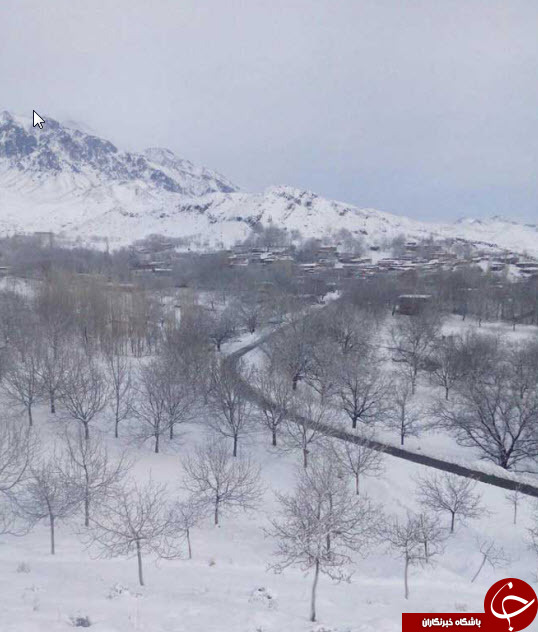 طبیعت زیبای برفی رابر + تصاویر