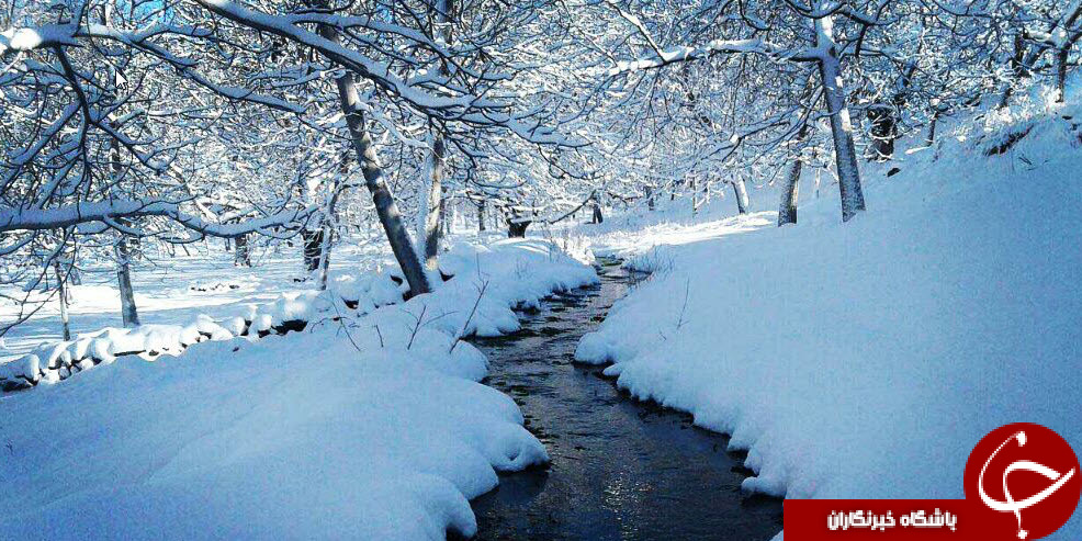 طبیعت زیبای برفی رابر + تصاویر