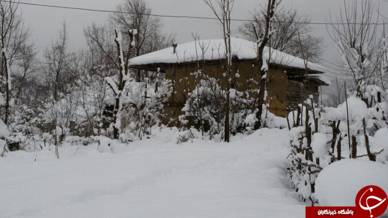 مناظر زمستانی زیبا در روستای &laquo;شکرکش&raquo; + تصاویر