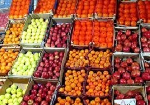 تامین و ذخیره سازی بیش از 1000 تن میوه شب عید