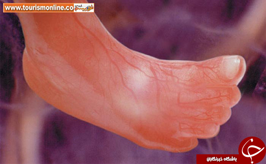 یکی از بهترین مجموعه عکسهای دنیا
