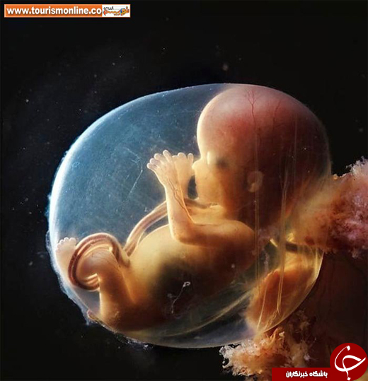 یکی از بهترین مجموعه عکسهای دنیا