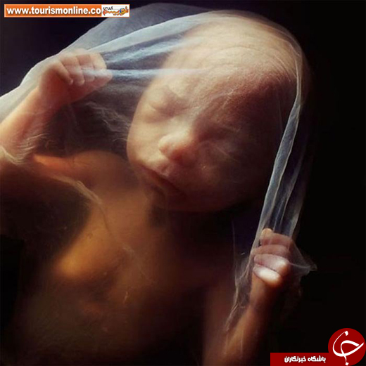 یکی از بهترین مجموعه عکسهای دنیا