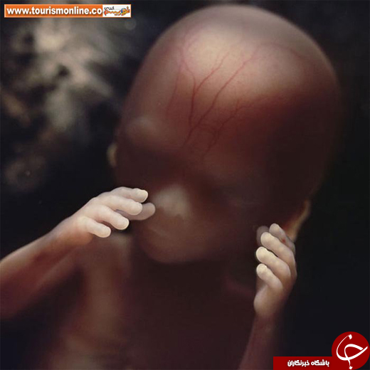 یکی از بهترین مجموعه عکسهای دنیا
