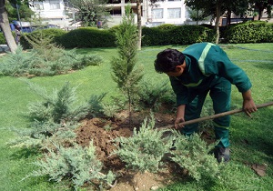 کاشت 5 هزار اصله نهال در محوطه پل معلق مشگین‌شهر
