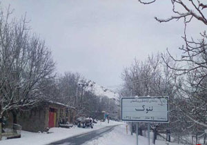 بسته