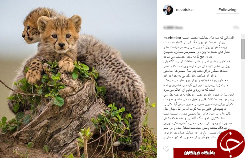 اقدامات سازمان محیط زیست برای حفاظت از یوزپلنگ ایرانی