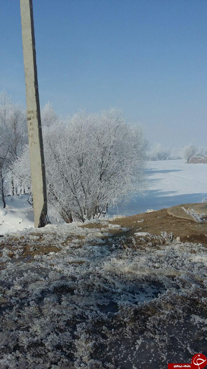 نمایی از طبیعت برفی خوی + تصاویر