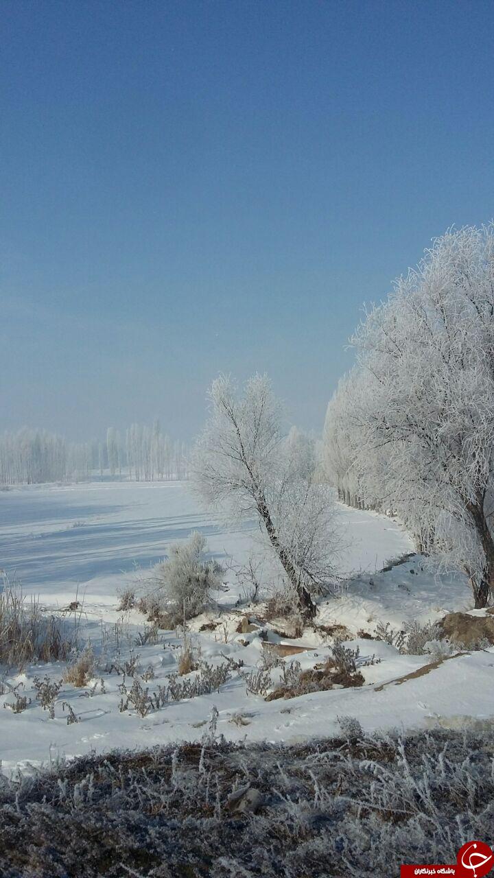نمایی از طبیعت برفی خوی + تصاویر