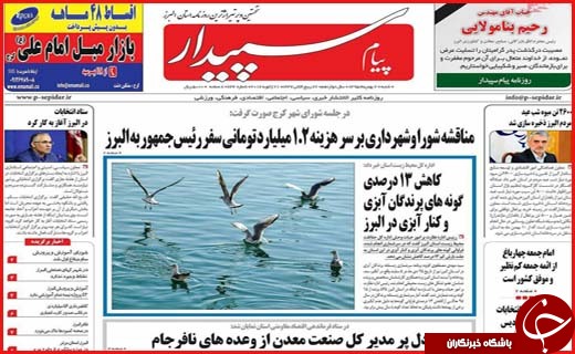 از همدردی با حادثه دیدگان پلاسکو تا گام هایی برای معدوم سازی ماهی های فاسد