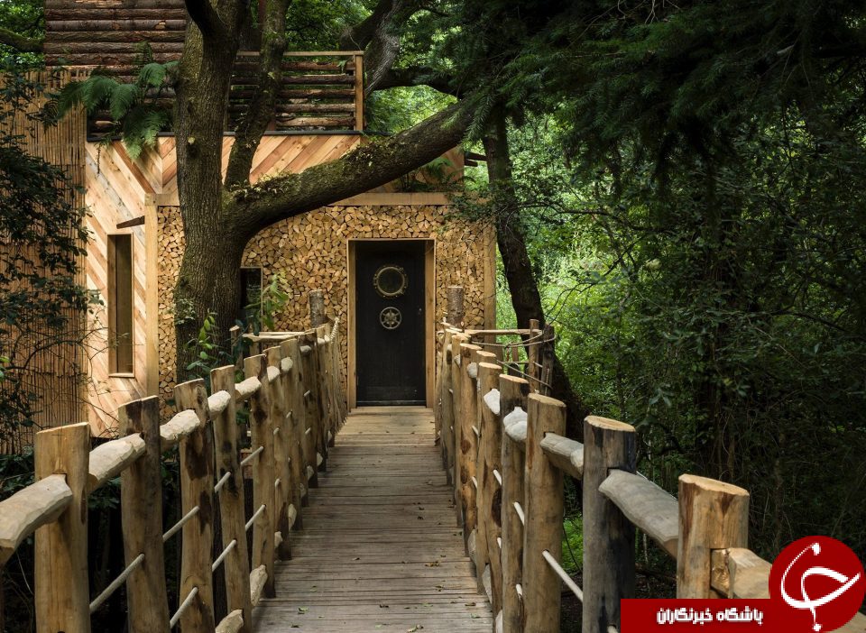 تماشایی ترین خانه درختی انگلیس را در این تصاویر ببینید