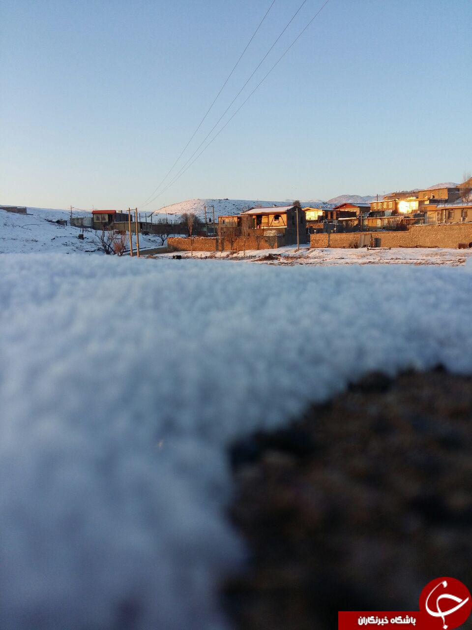 طبیعت برفی دلفان + تصاویر