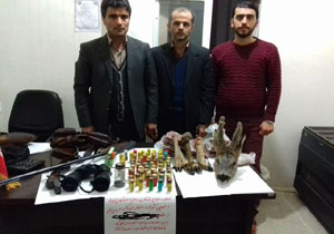 دستگیری شکارچی شوکا