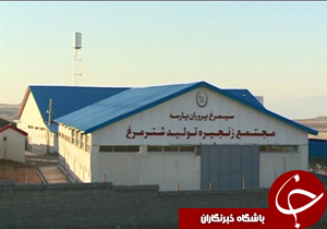 افتتاح بزرگترین واحد صنعتی شترمرغ کشور در شیراز افتتاح بزرگترین واحد صنعتی شترمرغ کشور در شیراز