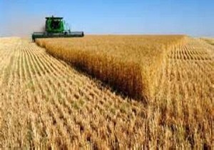 پرداخت تسهيلات به واحدهای کشاورزی بويين زهرا