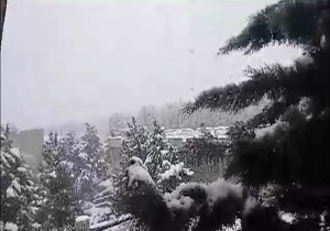 بارش زیبای برف در همدان + فیلم