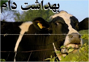 برگزاری کارگاه آموزشی بهداشت دام در تاکستان