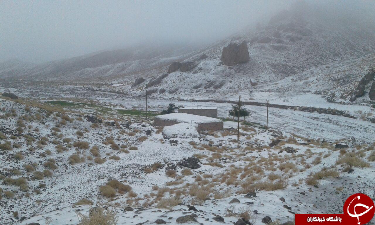 طبیعت برفی از روستای موردان و هفت بادام+ تصاویر