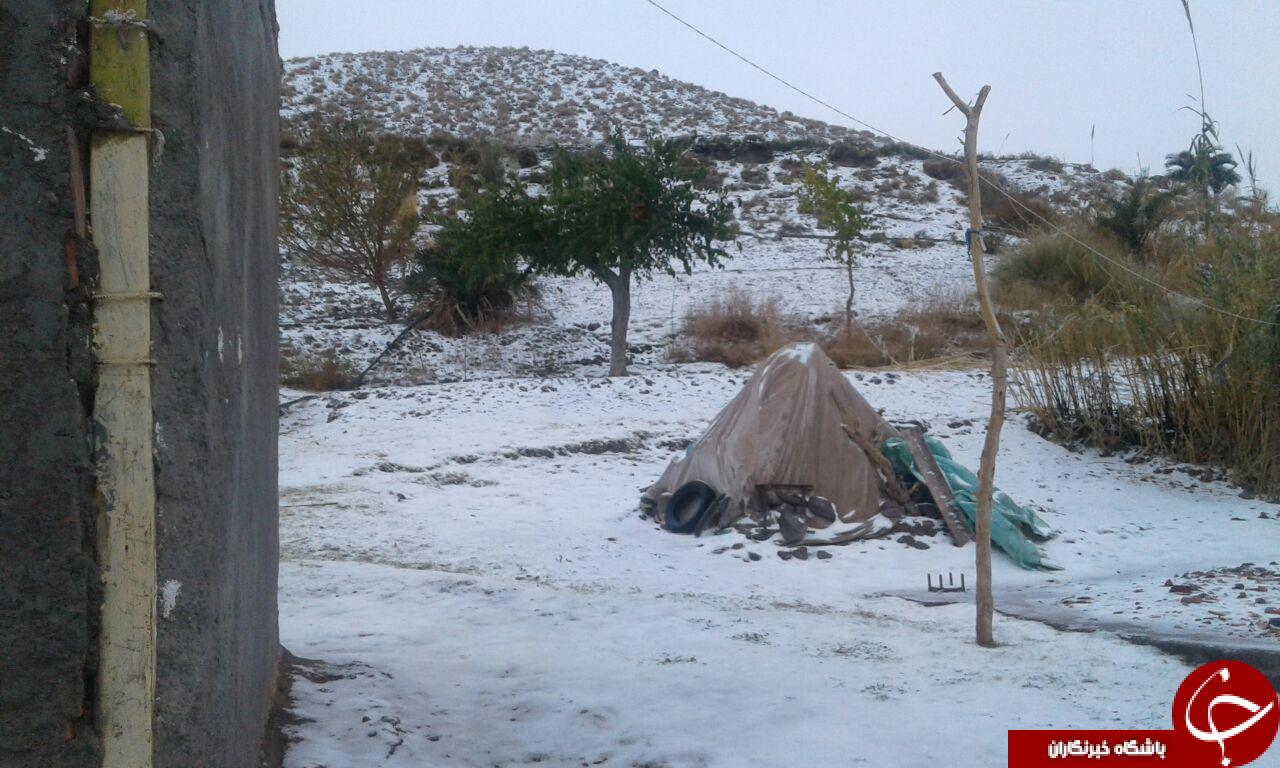طبیعت برفی از روستای موردان و هفت بادام+ تصاویر