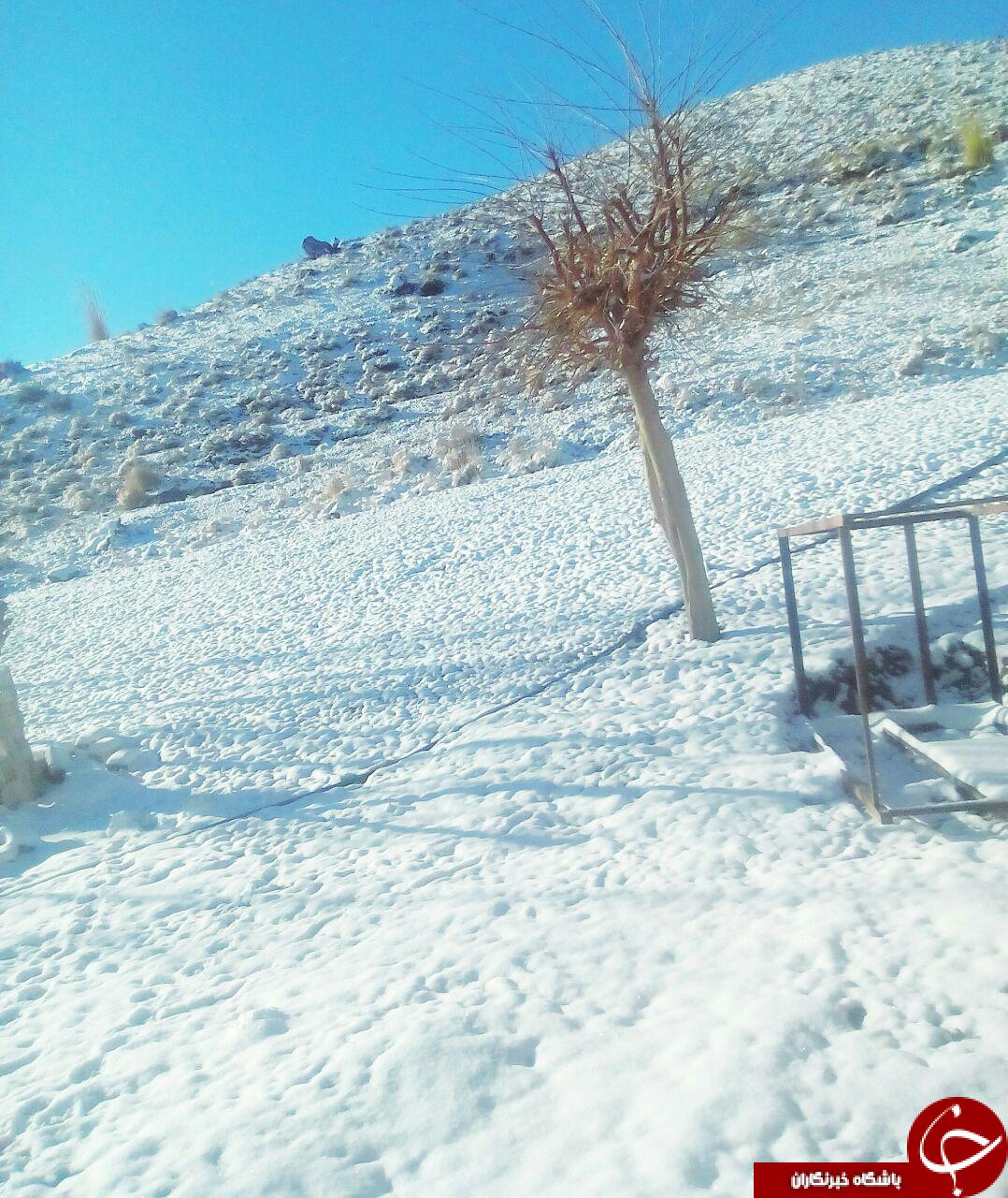طبیعت برفی از روستای موردان و هفت بادام+ تصاویر