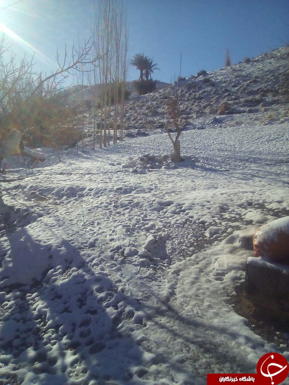 طبیعت برفی از روستای موردان و هفت بادام+ تصاویر