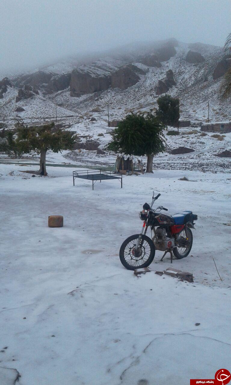 طبیعت برفی از روستای موردان و هفت بادام+ تصاویر