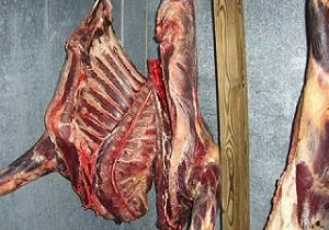 معدوم کردن نیم تن گوشت فاسد