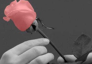 اگر این نکات را رعایت نکنید قطعاً دچار طلاق عاطفی می‌شوید
