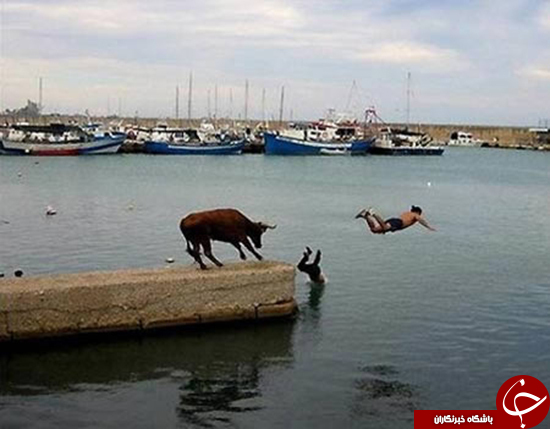 عکس&zwnj;هایی را ببینید که به موقع گرفته شده&zwnj;اند
