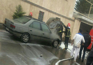 آتش به جان پژو آردی