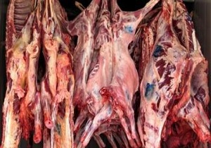محکومیت میلیونی دو قصاب متخلف