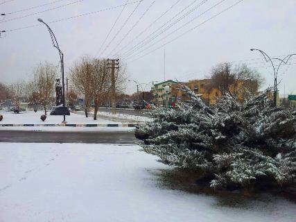 تصاویر دانه های سفید برف ،روی صورت زمین در زنجان
