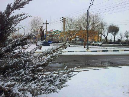 تصاویر دانه های سفید برف ،روی صورت زمین در زنجان