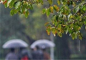 آغاز بارش باران در فارس