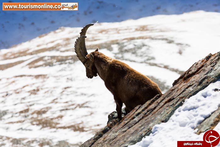 باشکوه&zwnj;ترین رشته کوه جهان را ببینید +تصاویر