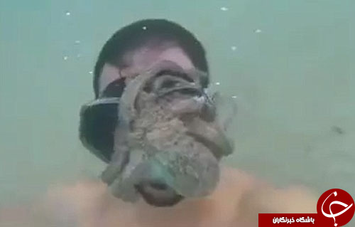 حمله یک هشت پا به غواص+ تصاویر/////////////////