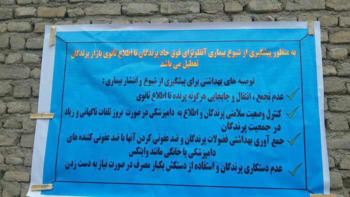 تعطیلی بازار پرندگان مشهد