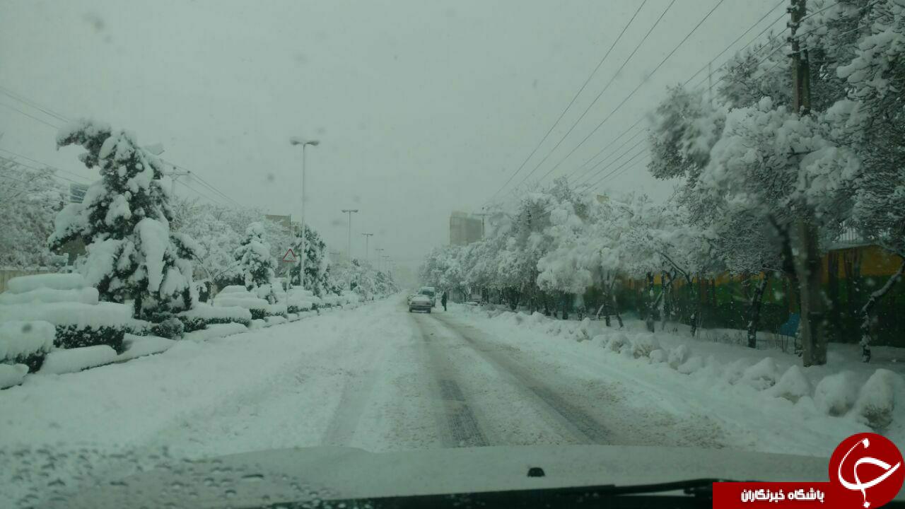 بارش زیبای برف در اراک + تصاویر
