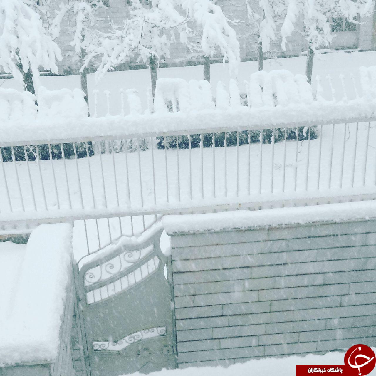 بارش زیبای برف در اراک + تصاویر