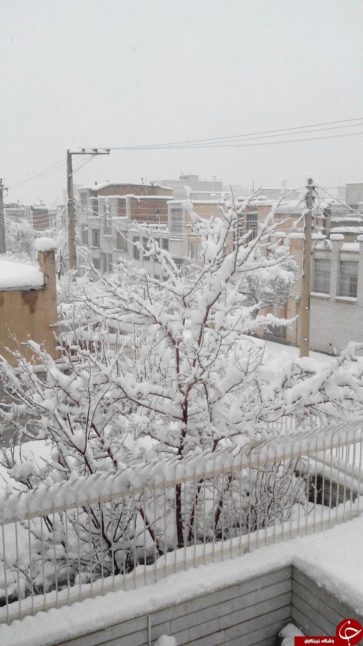 بارش زیبای برف در اراک + تصاویر