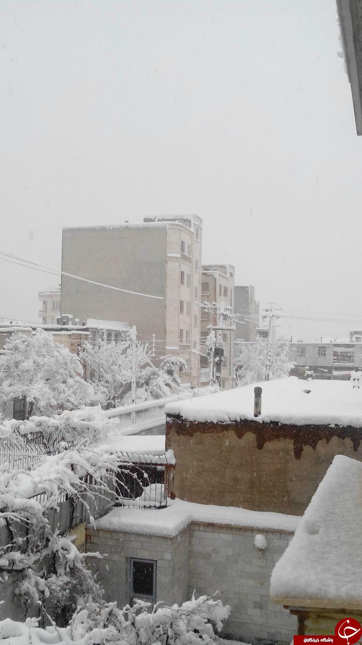 بارش زیبای برف در اراک + تصاویر
