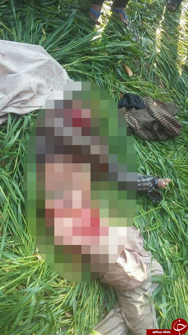 بازگشت ببر گرسنه به روستا برای خوردن باقیمانده جسد + تصاویر (18+)
