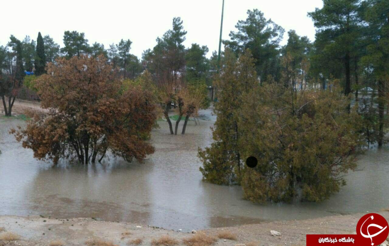 جاری شدن سیل در فسا + فیلم